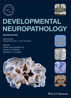 Book cover of Developmental Neuropathology