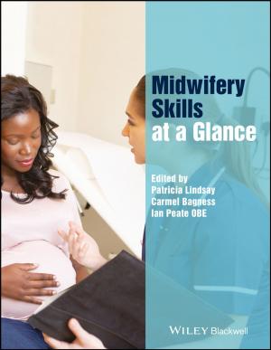 Cover of Midwifery Skills at a Glance