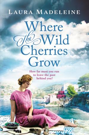 Book cover of Where the Wild Cherries Grow