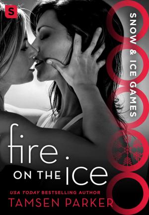 Cover of the book Fire on the Ice by Steve Hamilton