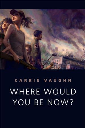 Cover of the book Where Would You Be Now? by P. Djèlí Clark
