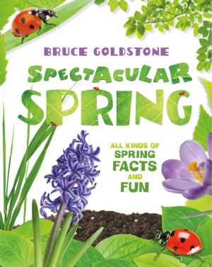 Cover of the book Spectacular Spring by Susan Hill