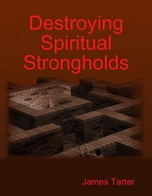 Cover of the book Destroying Spiritual Strongholds by Edmond Alcid