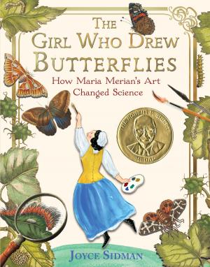 Cover of the book The Girl Who Drew Butterflies by J.R.R. Tolkien