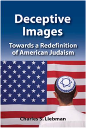 Cover of the book Deceptive Images by Steve May