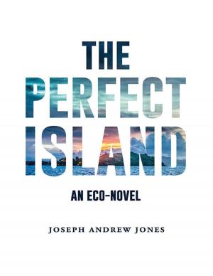 Cover of the book The Perfect Island by Miss Irene Clearmont