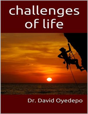 Cover of the book Challenges of Life by Debbie Brewer