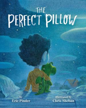 Cover of the book Perfect Pillow, The by Annie Auerbach