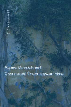 bigCover of the book Agnes Bradstreet Channelled from Slower Time by 