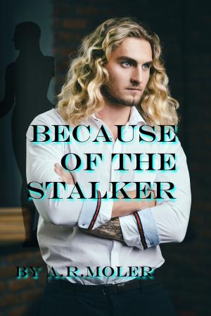 Book cover of Because of the Stalker