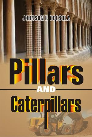 Cover of the book Pillars and Caterpillars by Johnson F. Odesola