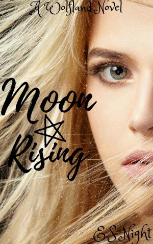 Cover of the book Moon Rising: A Wolfland Novel: Vampire and Wolf series - Book One by David Swift