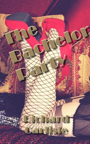 Cover of the book The Bachelor Party by Jenna Castille