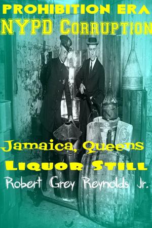 Cover of the book Prohibition Era NYPD Corruption Jamaica, Queens Liquor Still by Christine Grey