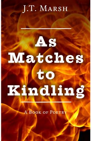 Cover of the book As Matches to Kindling: A Book of Poetry by William J Breen Jr.