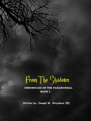 Cover of the book From The Shadows by Ink Mistress