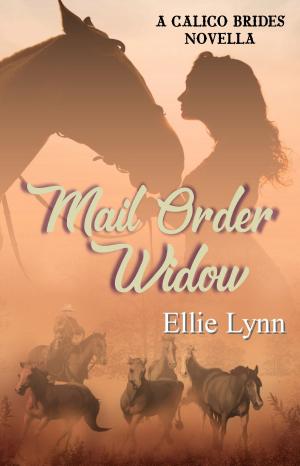 Cover of the book Mail Order Widow by Terri Brisbin
