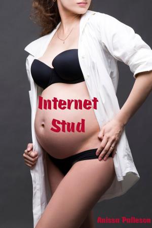 Cover of the book Internet Stud by Anissa Palleson