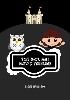 bigCover of the book The Owl And Max's Fortune by 