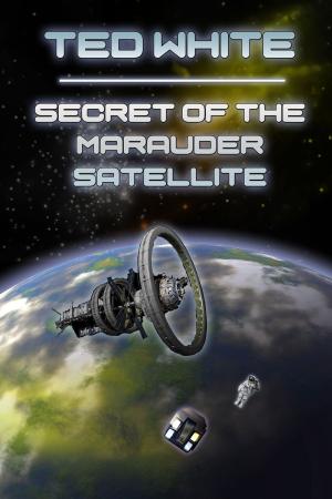 Book cover of Secret of the Marauder Satellite