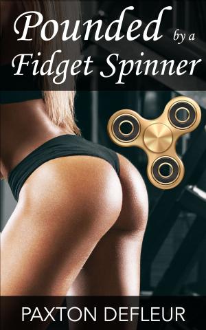 Cover of Pounded by a Fidget Spinner