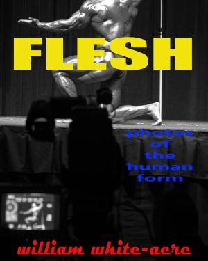 Cover of the book Flesh by Simon Hansen