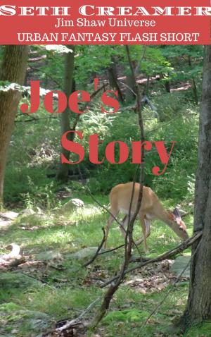 Cover of the book Joe's Story by Robert A. Hunt