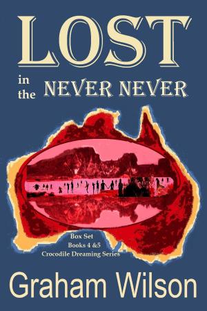 Cover of the book Lost in the Never Never by Graham Wilson