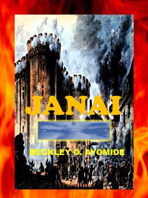 Cover of the book Janai by De-ann Black