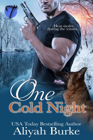 Cover of the book One Cold Night by Victoria Vallo