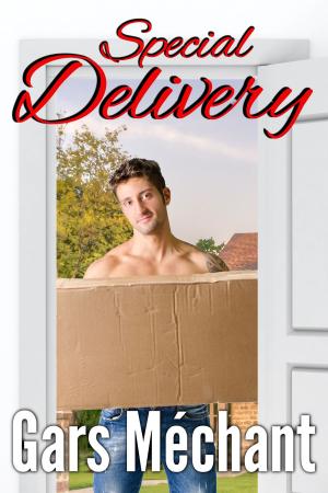 Cover of the book Special Delivery by B.J.LaRue
