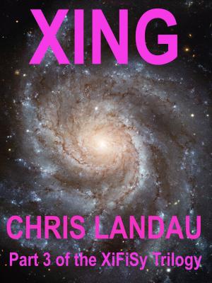 Cover of the book Xing by Melissa Stern