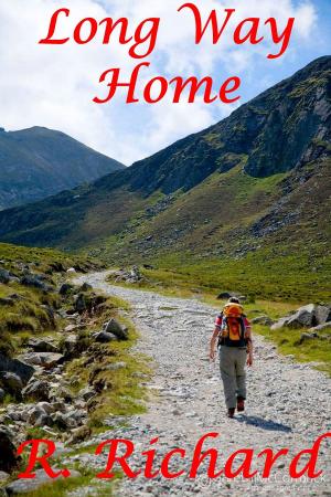 Cover of the book Long Way Home by Megan Haskell