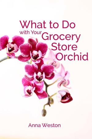 Book cover of What to Do with Your Grocery Store Orchid