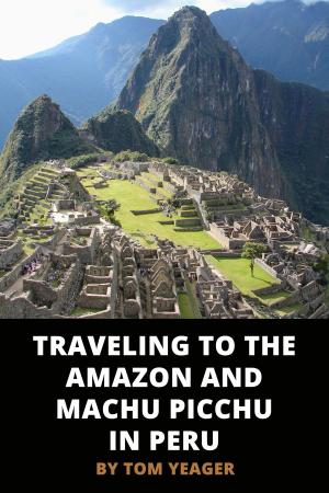 Book cover of Traveling to the Amazon and Machu Picchu in Peru