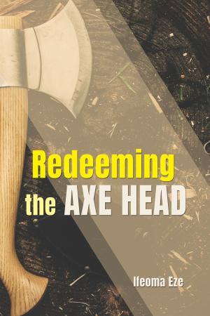 Cover of the book Redeeming the Axe-Head by Peter Blank, Ignaz Brosa