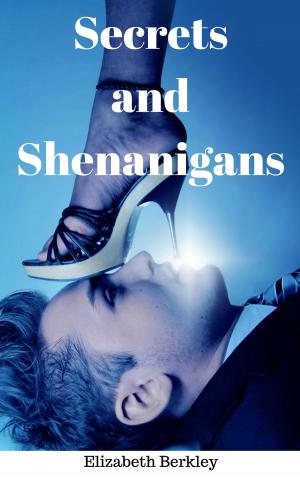 Cover of the book Secrets and Shenanigans by Joe Rosa