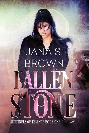 Book cover of Fallen Stone