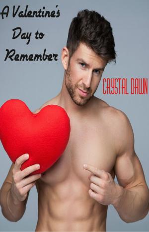 Cover of the book A Valentine's Day to Remember by Meriam Wilhelm