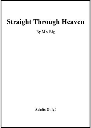 bigCover of the book Straight Through Heaven by 