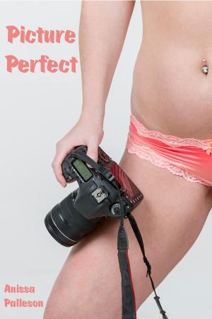 Cover of the book Picture Perfect by Anissa Palleson