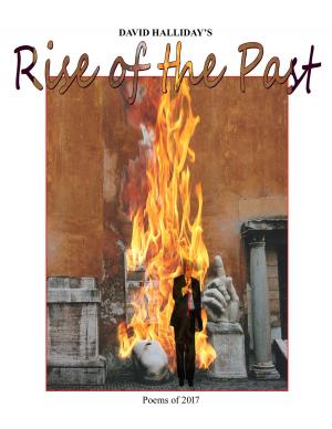 Cover of the book Rise of the Past by Cheridan Hubbell