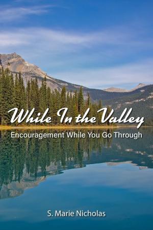 bigCover of the book While In The Valley Encouragement While You Go Through by 