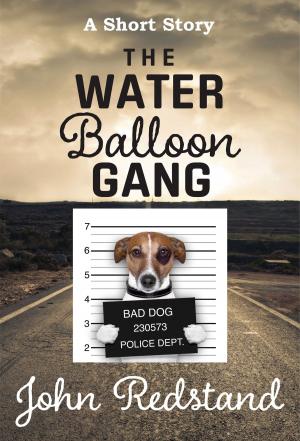 Cover of the book The Water Balloon Gang by Spoo Publications
