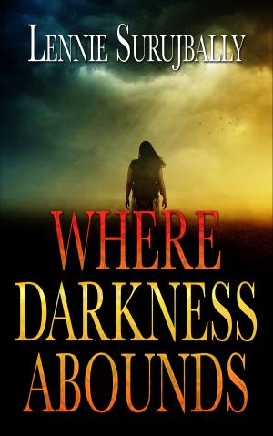 Cover of Where Darkness Abounds (Book 1)
