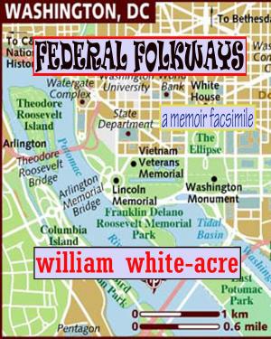 Book cover of Federal Folkways