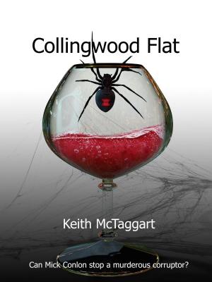 Cover of the book Collingwood Flat by Anne Kinsey