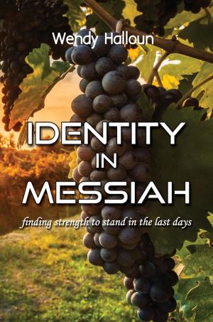 Cover of the book Identity in Messiah by L.A. Zoe