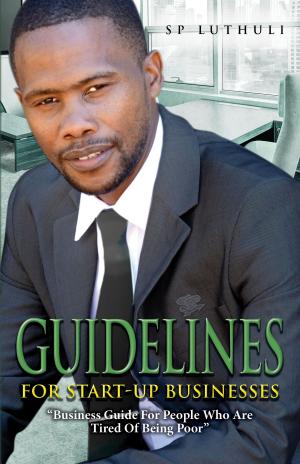 Book cover of Guidelines for start-up businesses