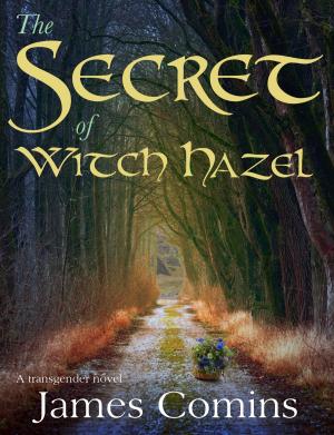 Book cover of The Secret of Witch Hazel